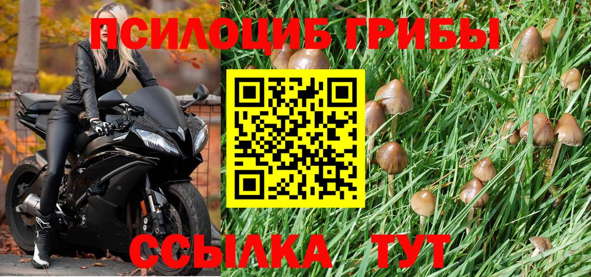 Псилоцибиновые грибы прущие грибы Обь